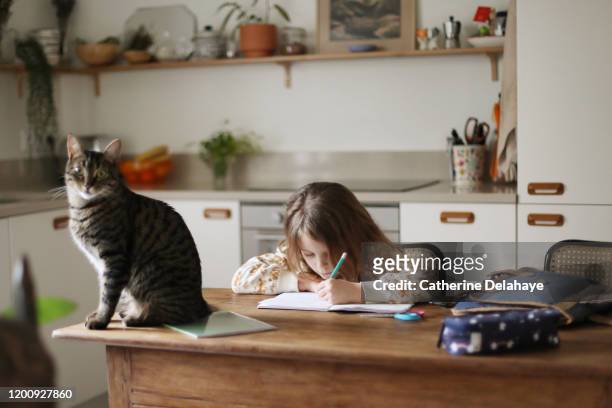 a 6 year old girl doing her homeworks with her cat in the kitchen - pasta escolar imagens e fotografias de stock