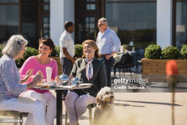 senior friends with pet dog sitting at sidewalk cafe - cafe culture uk stock pictures, royalty-free photos & images
