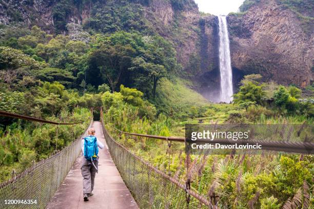 senior woman hiking over bridge on the way to bridal veil waterfall, ecuador - ecuador stock pictures, royalty-free photos & images