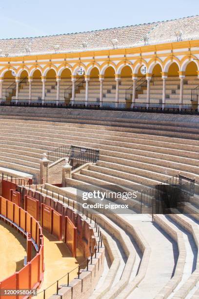 bullring of the royal masters of cavalry of seville - bullfight arena stock pictures, royalty-free photos & images
