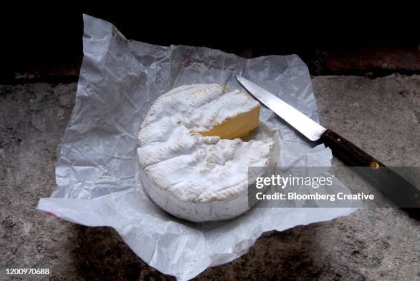 camembert cheese - camambert stockfoto's en -beelden