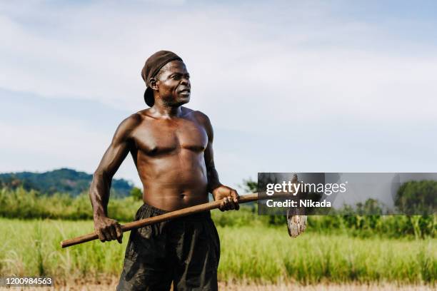 African Farming Rake Power Rake Photos and Premium High Res Pictures - Getty Images