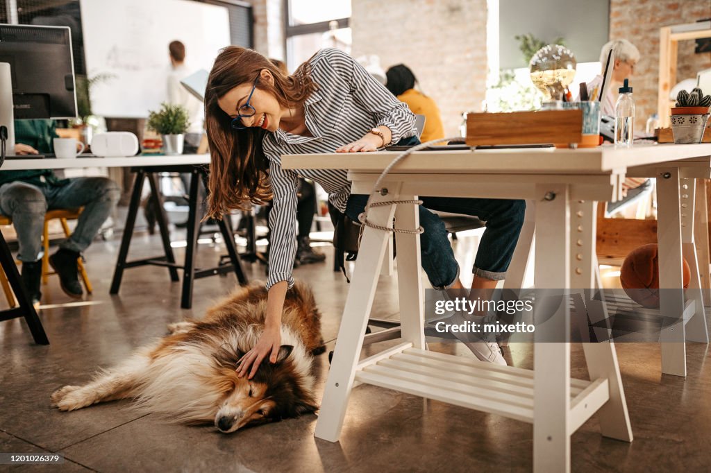 Frau streichelt ihren Hund im Büro