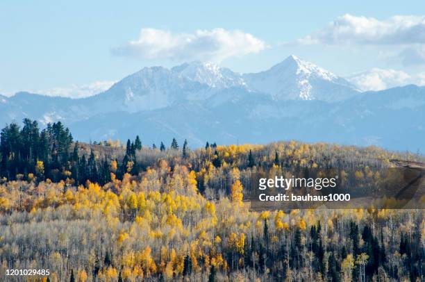 outono no guardsman pass e aspens em peak color, park city, utah nas montanhas rochosas do colorado - park city - fotografias e filmes do acervo