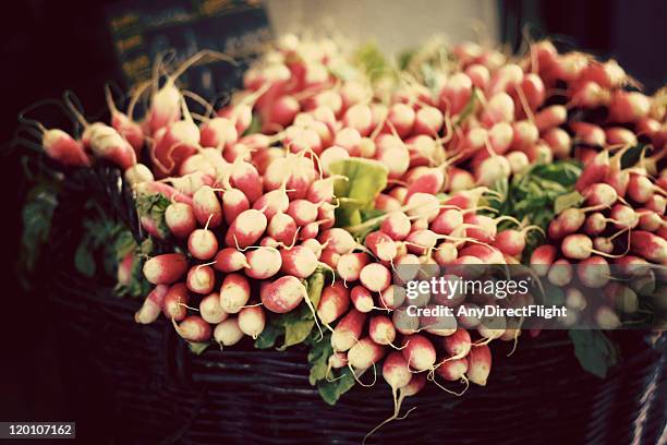 radish - nancy stock pictures, royalty-free photos & images