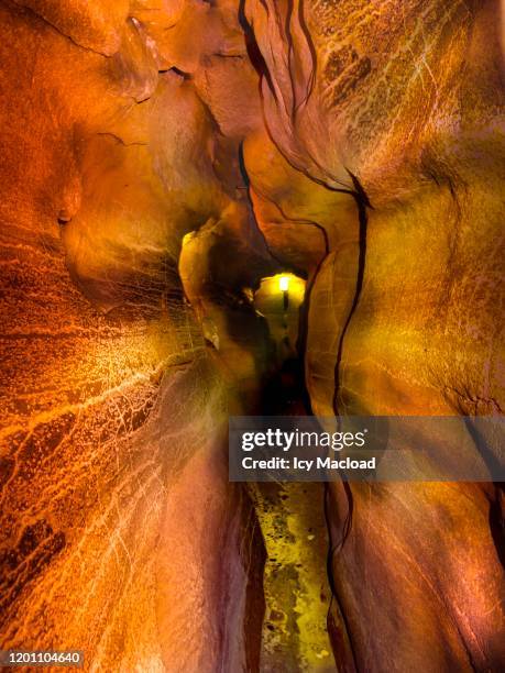 golden cave - gold rush stock pictures, royalty-free photos & images