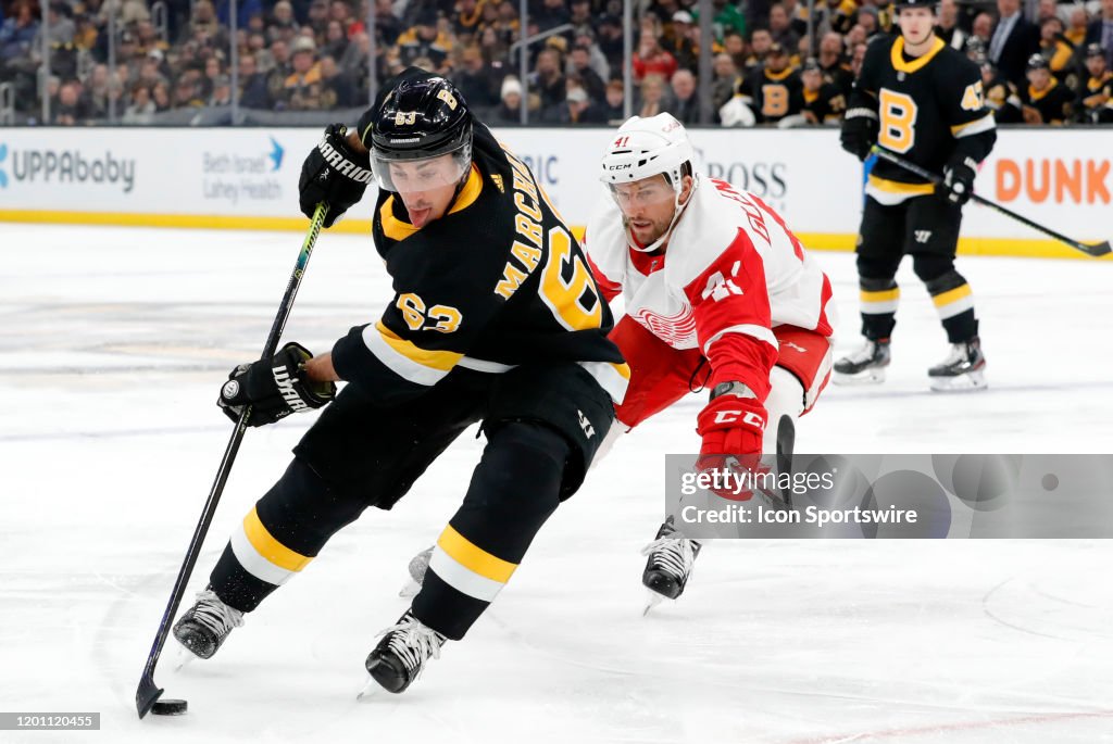 NHL: FEB 15 Red Wings at Bruins