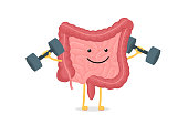 Cute cartoon healthy intestines character with dumbbells. Abdominal cavity digestive and excretion human internal organ. Small and colon intestine with appendix vector illustration