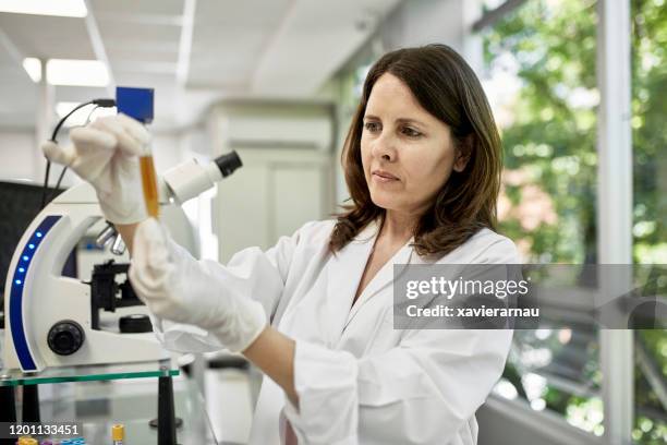 hispanic female pathologist examining test tube urine sample - blood urine stock pictures, royalty-free photos & images