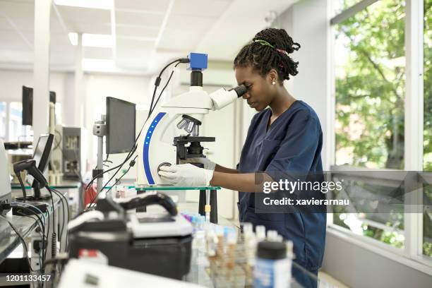 afrikanische pathologische tierärztin mit mikroskop im labor - urine sample stock-fotos und bilder