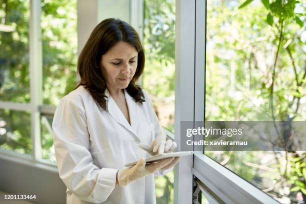 mature hispanic female pathologist using digital tablet - lab window stock pictures, royalty-free photos & images