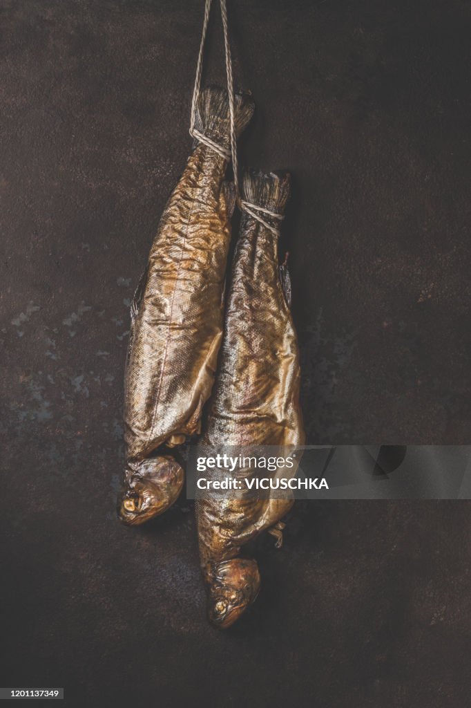 Whole smoked trout fish hanging at dark background