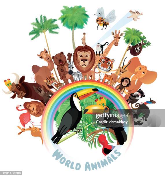 animals and rainbow - rainbow lorikeet stock illustrations