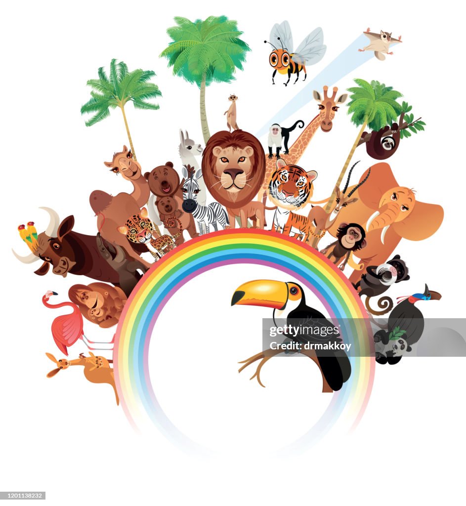 World animals