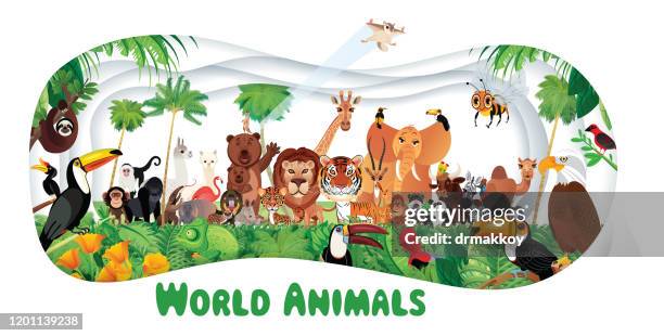 ilustrações de stock, clip art, desenhos animados e ícones de tropikal rainforest and world animals - trichoglossus haematodus