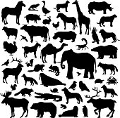 animals silhouette big set