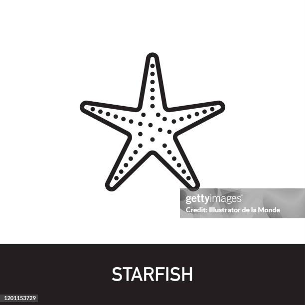 starfish outline icon design - invertebrate stock illustrations
