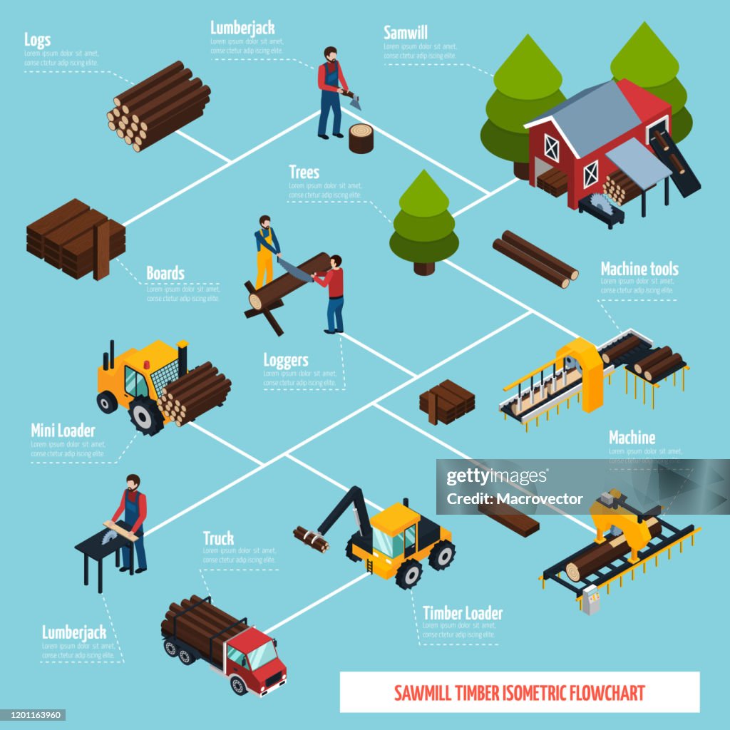 Sawmill timber isometric flowchart