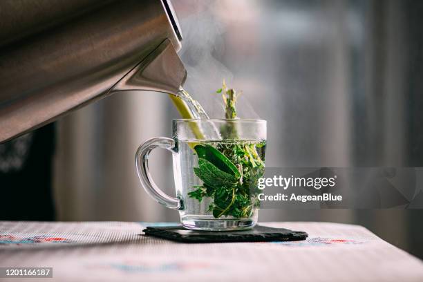 Selavi Tea 316 Salvia Officinalis Tea Stock Photos, High-Res Pictures, and Images ...