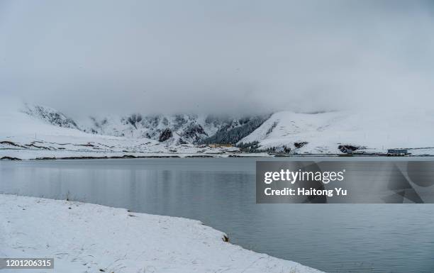 serene snow scenes. gansu, china - minder verzadiging stockfoto's en -beelden