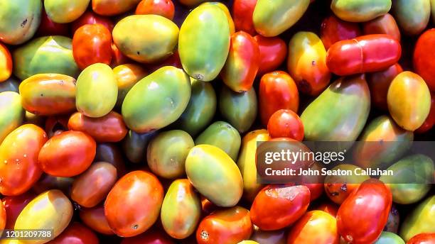 france, fresh tomatoes on réunion island - saint denis de la reunión fotografías e imágenes de stock