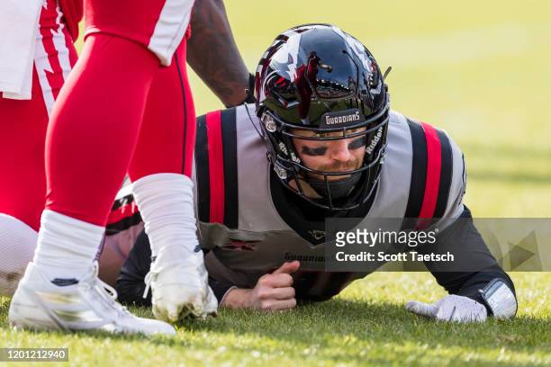 Matt McGloin of the NY Guardians looks on after being knocked to the turf during the first half of the XFL game against the DC Defenders at Audi...