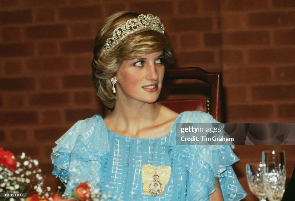 Diana At State Dinner