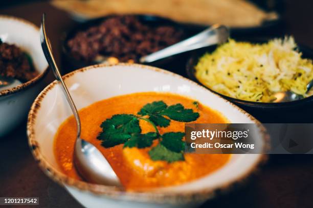 modern indian food served in a restaurant - masala fotografías e imágenes de stock