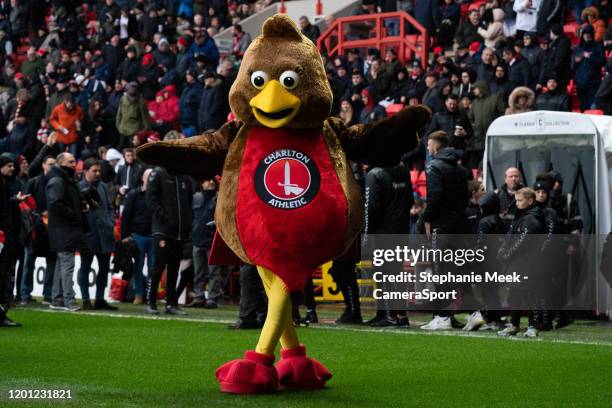 Charlton Athletic mascot during the Sky Bet Championship match between Charlton Athletic and Blackburn Rovers at The Valley on February 15, 2020 in...