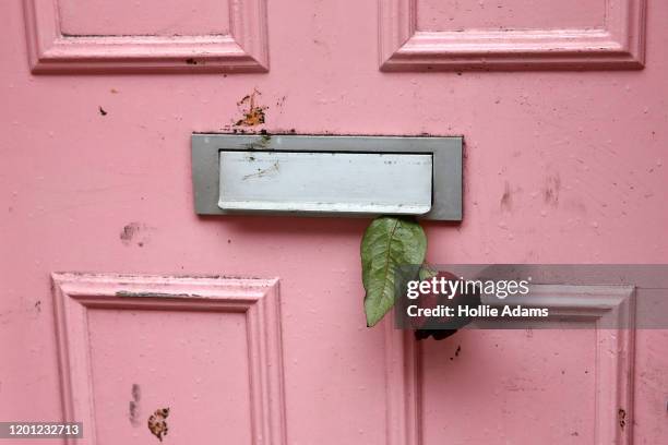 Flower tributes laid outside the home of former Love Island host Caroline Flack on February 16, 2020 in London, England. The TV presenter was found...