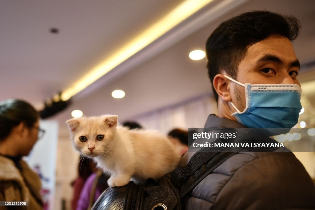 VIETNAM-LIFESTYLE-CAT-SHOW-HEALTH-VIRUS
