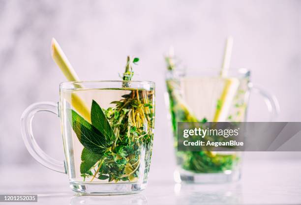 Selavi Tea 364 Salvia Officinalis Tea Stock Photos, High-Res Pictures, and Images ...