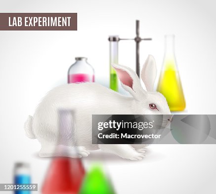 Rabbit Scientific Lab Experiment High-Res Vector Graphic - Getty Images