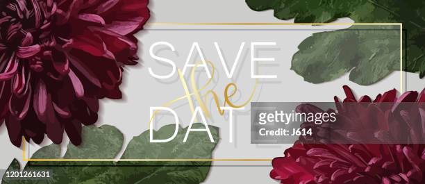 ilustrações de stock, clip art, desenhos animados e ícones de chrysanthemum invitation template - crisântemo