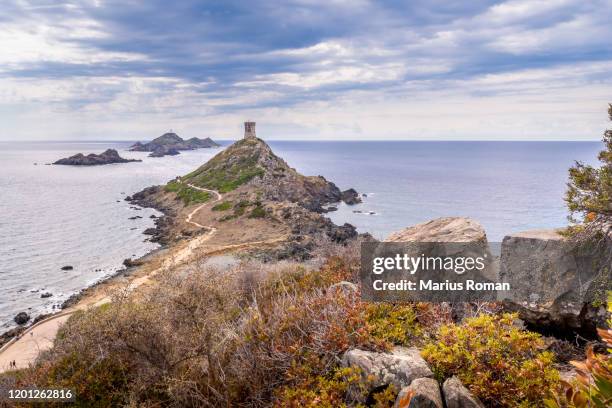 aerial summer / autumn view of the iles sanguinaires (the blood islands) near ajaccio, with genoese watchtower and lighthouse, corsica, france, europe. - bay foto e immagini stock