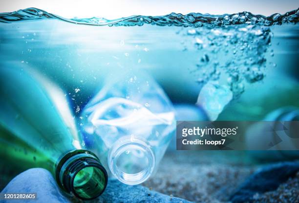 ocean plastic pollution - aquatic organism stock pictures, royalty-free photos & images