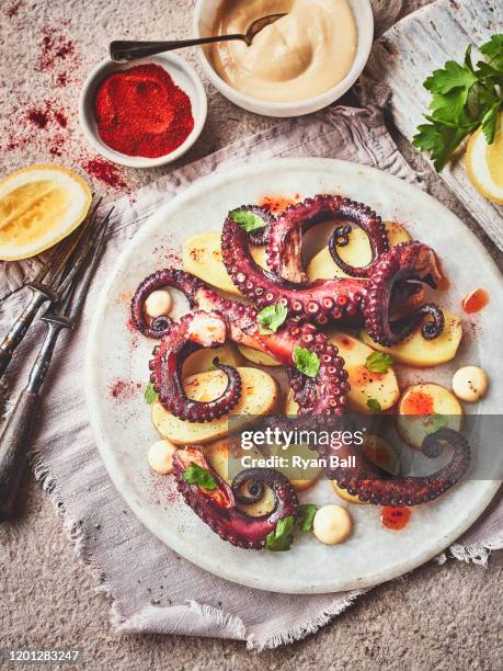 grilled octopus - octopus food stock pictures, royalty-free photos & images