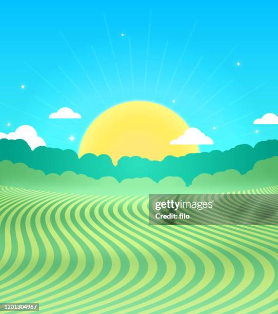 ilustraciones, imágenes clip art, dibujos animados e iconos de stock de paisaje de campo de granja rural - haba de soja