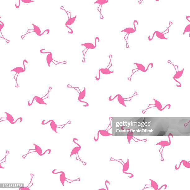 little oink flamingo seamless pattern - flamingo pattern stock illustrations