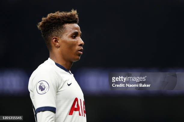 Gedson Fernandes of Tottenham Hotspur looks on during the Premier League match between Tottenham Hotspur and Norwich City at Tottenham Hotspur...