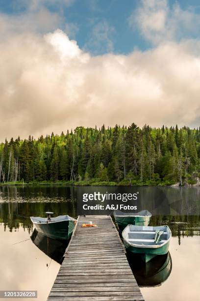 fishing lake in early morning. - lake stock pictures, royalty-free photos & images