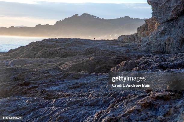 Ohope Map Ohope Beach Photos and Premium High Res Pictures - Getty Images