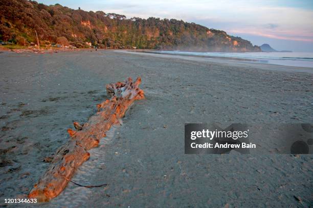 Ohope Map Ohope Beach Photos and Premium High Res Pictures - Getty Images