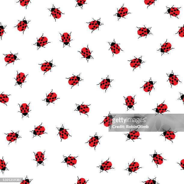 ilustraciones, imágenes clip art, dibujos animados e iconos de stock de ladybugs seamless pattern 2 - mariquita