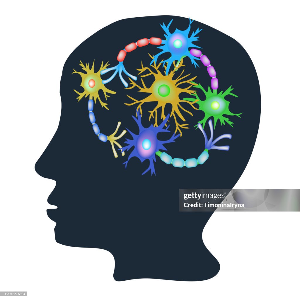Synapses Of Neurons Neural Communications Background Neuron ...