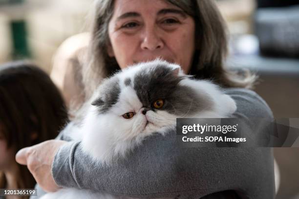 Persian cat seen displayed at the International Cat Show in Lisbon. The Lisbon international cat show is hosted in Mercado De Santa Clara on 15th and...