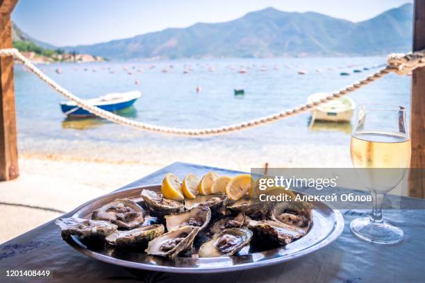 oysters in a white plate with lemon and a glass of wine on a wooden table isolated on white - kotor bay 個照片及圖片檔