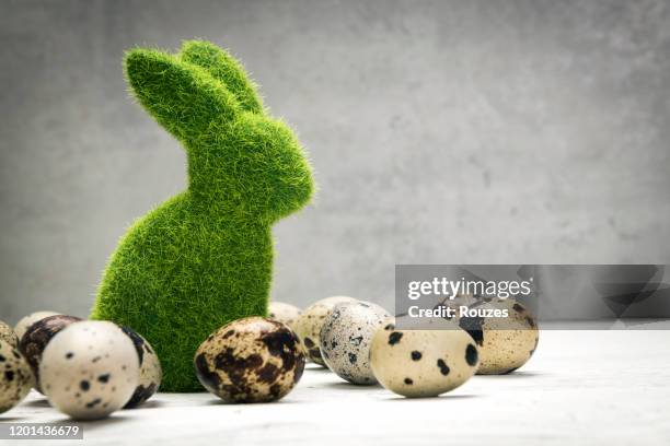 paashaas met paaseieren op witte achtergrond - easter and humour stockfoto's en -beelden