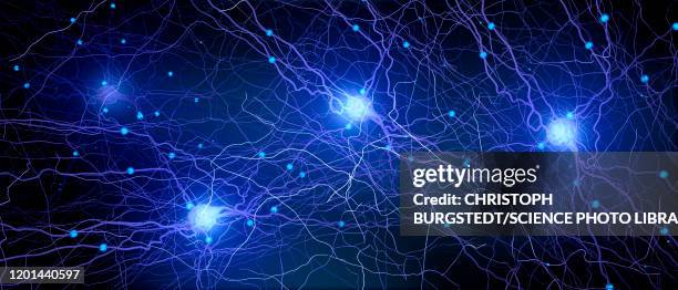 neural network, illustration - nervenzelle stock-grafiken, -clipart, -cartoons und -symbole