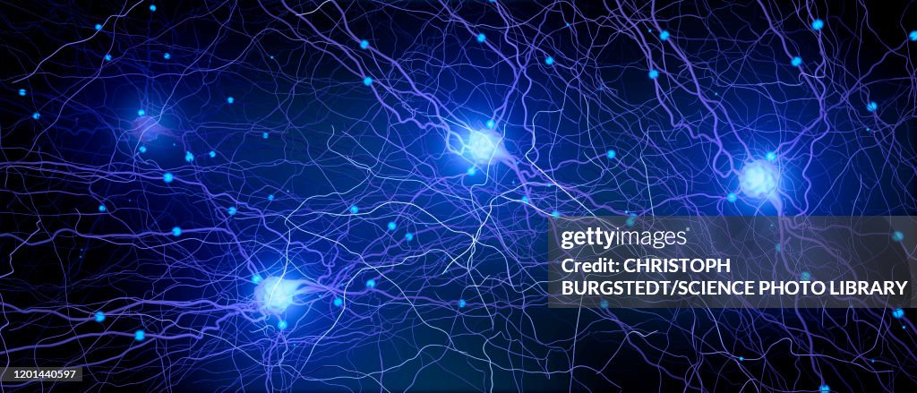 Neural network, illustration